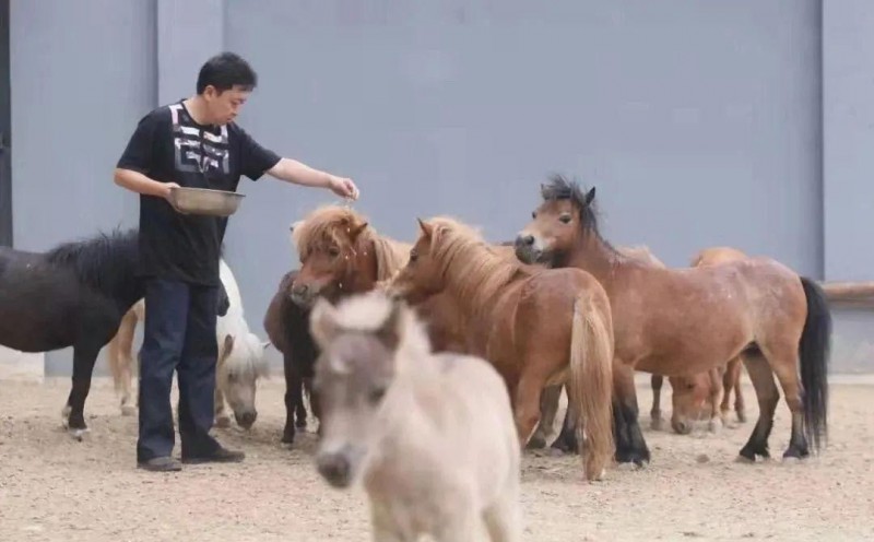 于謙個(gè)人簡介(于謙副業(yè)說相聲玩兒才是主業(yè))